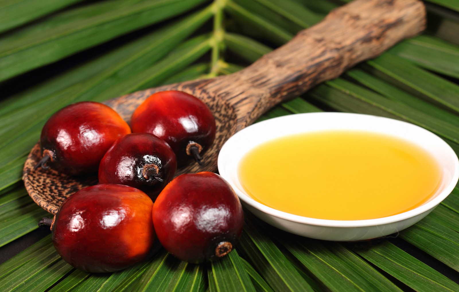 Knowledge Corner: Everything you need to know about sustainable palm oil