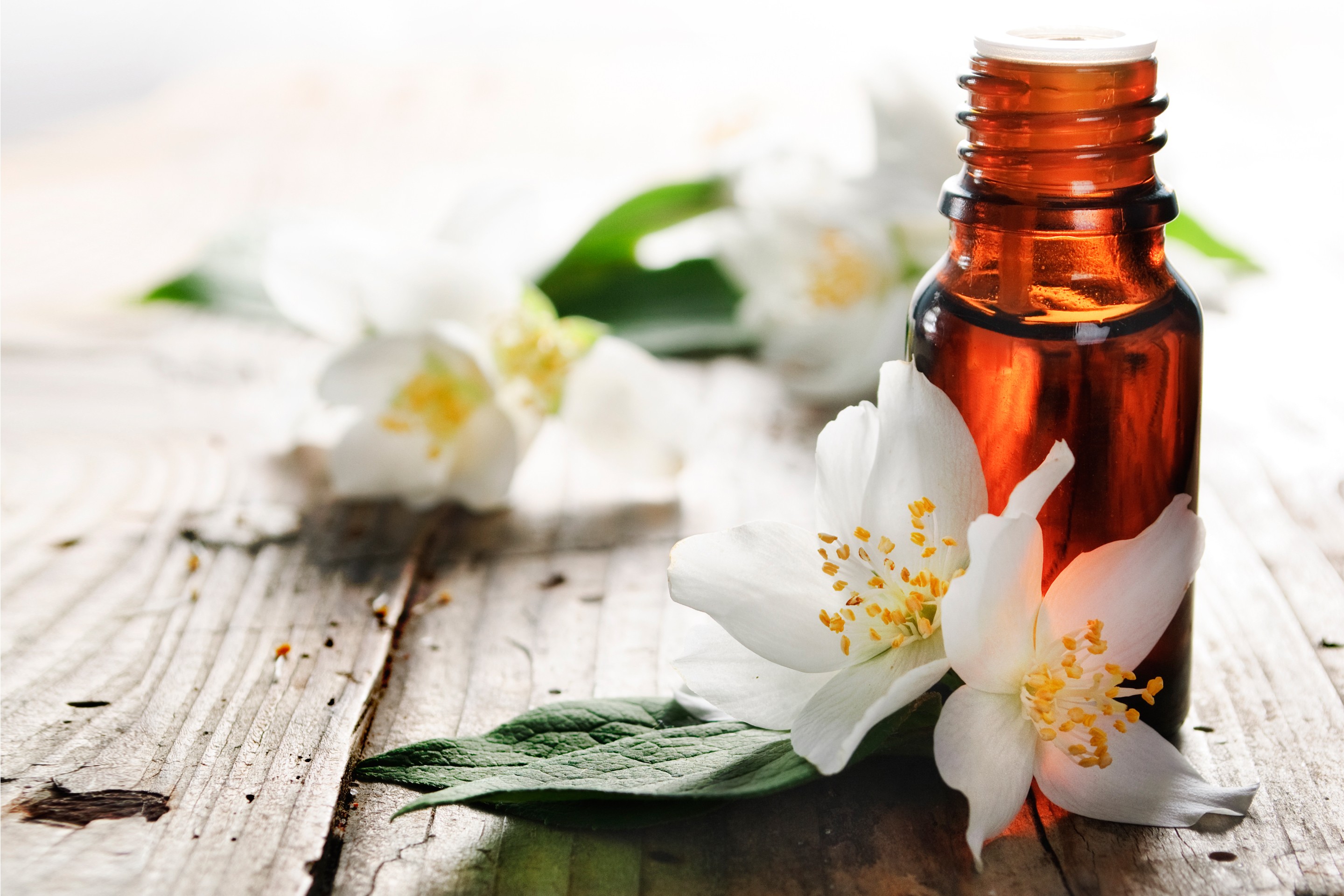 Ingredient Spotlight: Fragrance