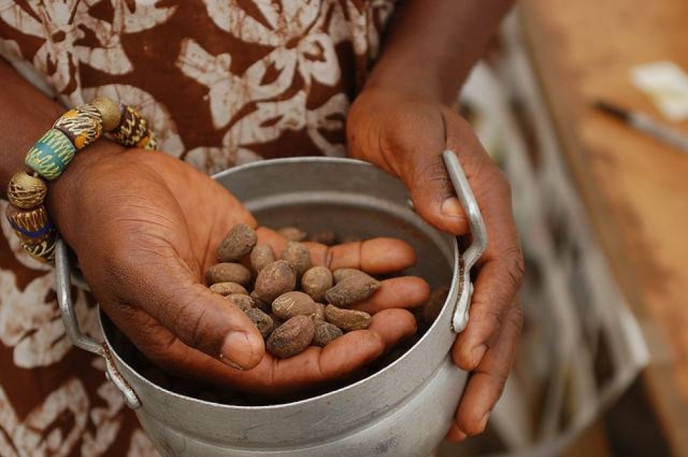 Ingredient Spotlight: Shea Butter in the Personal Care Sector